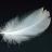 swan-feather-16307_640.jpg