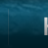 Senzanome.png