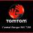 tomtom.jpg
