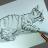 Drawing Realistic Animals.jpg