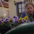 vlcsnap-2018-08-07-19h51m20s268.png