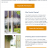 anglianbrochure.png