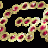 gif_animate_compleanno_04.gif
