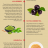 Top 5 Best Super foods.png
