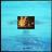 R-1385354-1215098405.jpeg.jpg