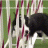 321d54a7b04a6c2e45a144b792884c35.gif