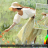 ArtRage Vitae sc.png
