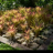 24981618_vlcsnap-2015-02-08-18h53m31s124.png