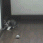 28zMDYyNSJ.gif
