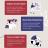 Essential Tips for Choosing an English Grammar Course.jpg