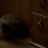 vlcsnap-2019-10-14-22h42m13s005.png