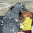 vlcsnap-2019-06-09-13h53m53s817.png