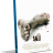 ok.png