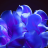 Windows 11 extrem screen.png