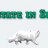 seed.gif