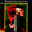 cover.png