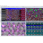 DS BIOVIA Materials Studio sc.png