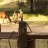 vlcsnap-2020-06-07-14h11m22s058.png