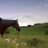vlcsnap-2020-05-15-22h00m09s002.png