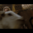 vlcsnap-2018-07-17-20h47m59s405.png