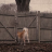 vlcsnap-2019-10-25-11h06m09s509.png