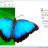 SoftOrbits Background Remover sc.jpg