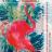 0046c1a4_medium.jpg