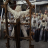 vlcsnap-2026-08-27-07h25m47s166.png