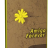 1Cm31CQ.png