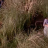 vlcsnap-2019-11-02-09h34m30s002.png