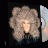 8270de425f3f6a4886348dede1242966.gif