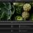 screen800x500 (1).jpeg
