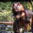 Create a Tyrannosaurus Rex Dinosaur in Blender 3.png