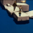 vlcsnap-2019-10-29-01h39m11s427.png