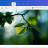 GiliSoft Image Watermark Master screen.jpg