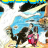 cover.png