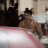 vlcsnap-2019-07-23-19h34m20s162.png