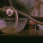 vlcsnap-2017-09-08-09h54m31s311.png