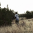 vlcsnap-2019-10-16-03h16m23s858.png