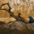 vlcsnap-2020-02-02-04h15m08s020.png