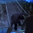 vlcsnap-2019-10-25-11h44m03s641.png