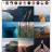 Grids for Instagram screen.jpg