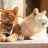 1398429834_gifs_170.gif