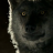 vlcsnap-2020-05-26-09h54m48s448.png