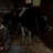 vlcsnap-2019-12-18-07h28m34s590.png