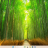 Microsoft Windows 11 (25H1) Insider Preview it sc.png