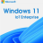 Windows 11 IoT Enterprise.png