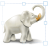 Image Tuner Pro.png
