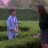 vlcsnap-2019-10-14-23h06m19s474.png