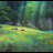 vlcsnap-2020-02-08-11h02m11s802.png
